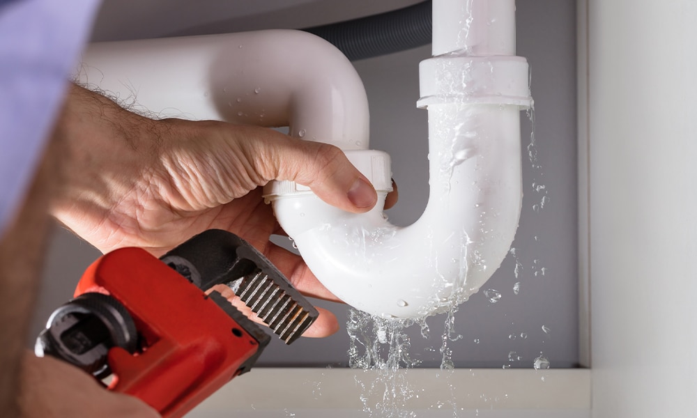 Drain Cleaning Seattle